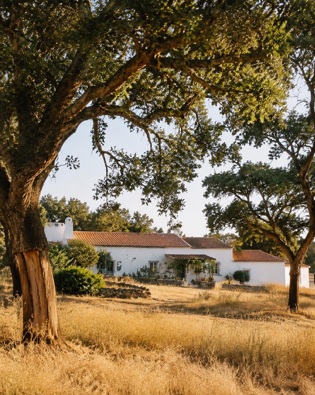 A whitewashed farmhouse among cork oaks